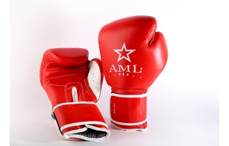 Боксерские Перчатки AML Pro Красные