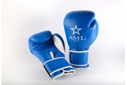 Боксерские Перчатки AML Pro Синие