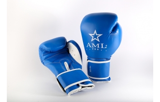 Боксерские Перчатки AML Pro Синие