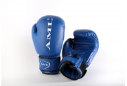 Боксерские Перчатки AML Sport PVC Синие