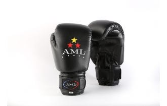 Боксерские перчатки AML STAR Черного Цвета