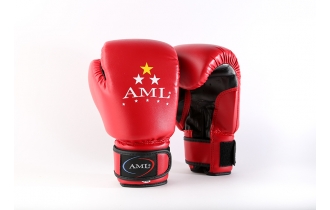 Боксерские перчатки AML STAR Красного Цвета